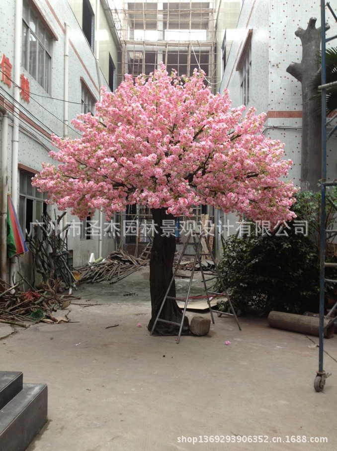 QQ图片20130602094820