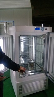 培养箱-光照培养箱 上海光照培养箱 光照可调培
