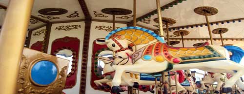 林<em>姿妹</em>的个人主页-阿里巴巴1688.com