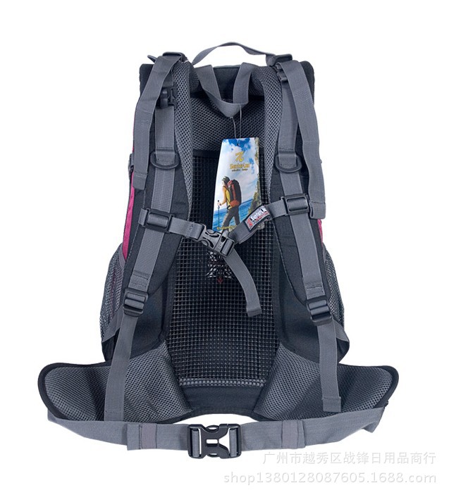 S1553背负