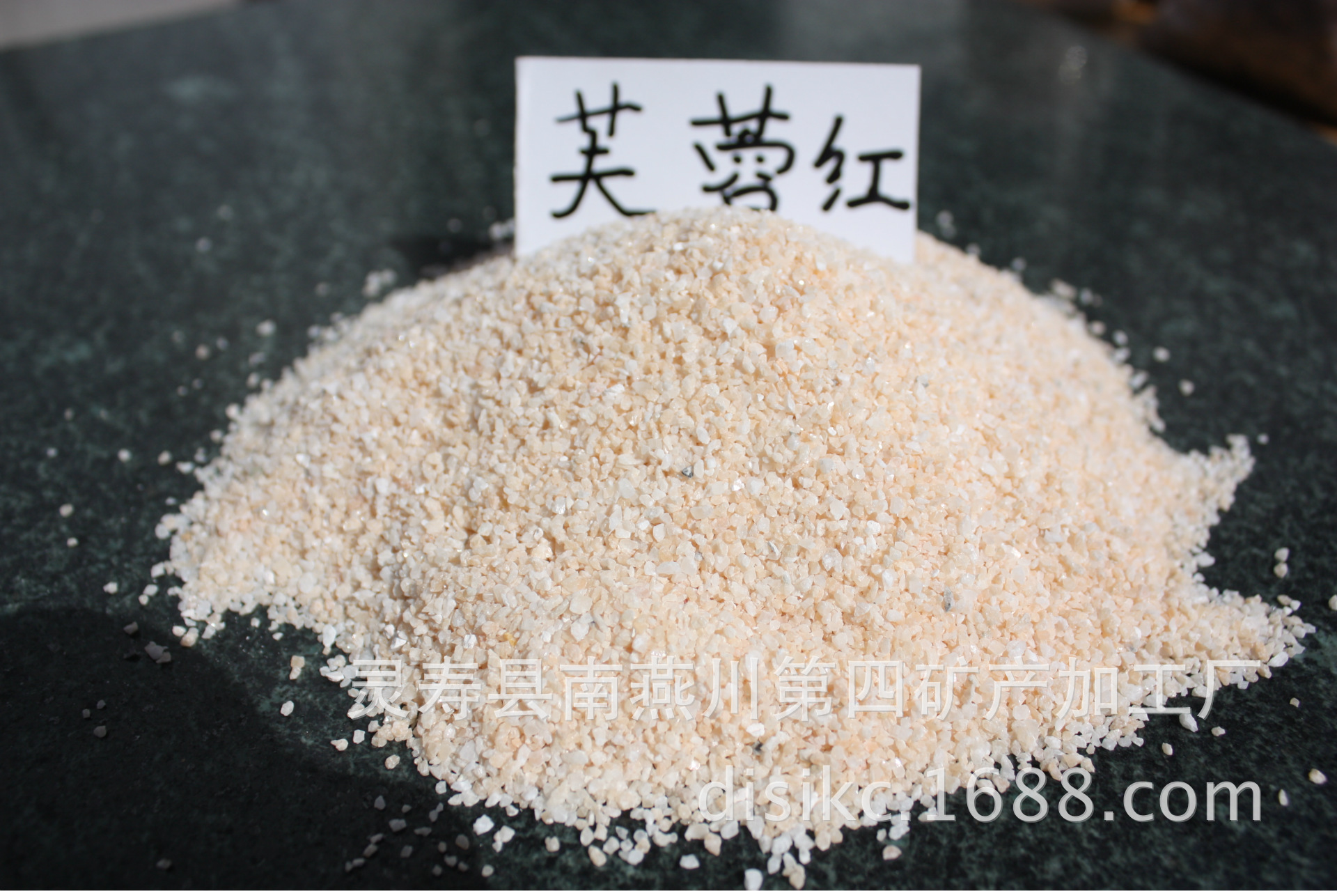 照片 261