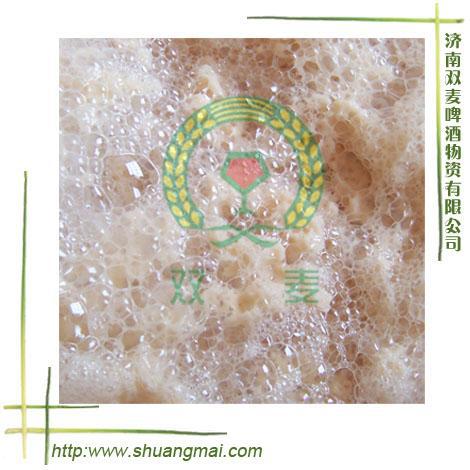 【啤酒酿造啤酒原料】啤酒酵母体内的主要酶类