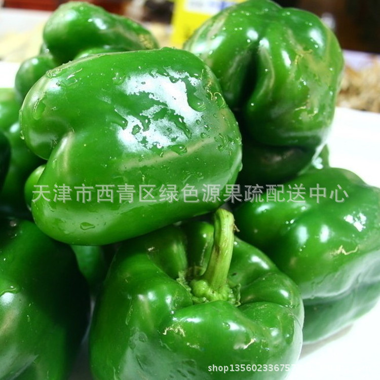 青椒批发 辣椒 甜椒 苏椒图片,青椒批发 辣椒 甜