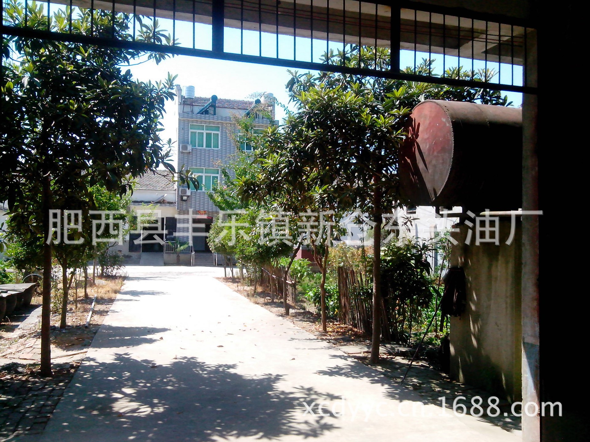 油菜籽-油菜籽枯--求购产品详情