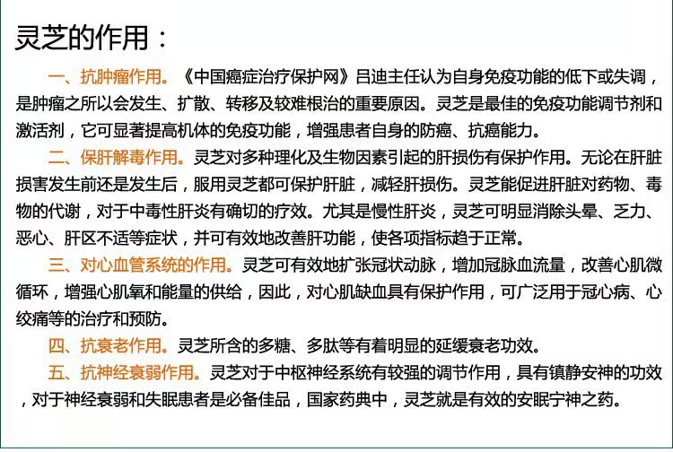 灵芝说明