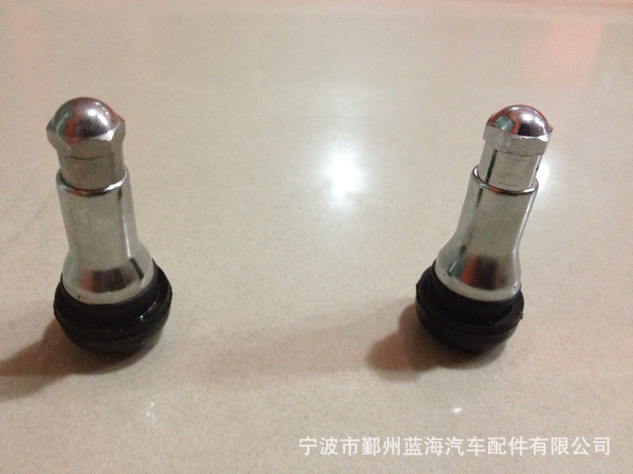 气门嘴-厂家直销 无内胎气门嘴TR413AC 带防