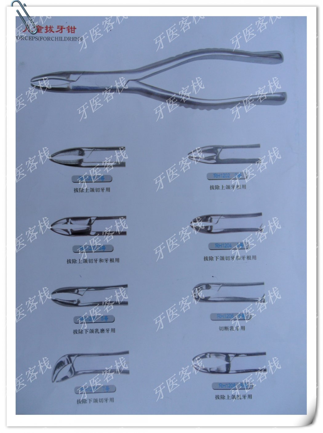 牙科器材 儿童 拔牙钳/口腔器械/齿科材料 拔牙器械