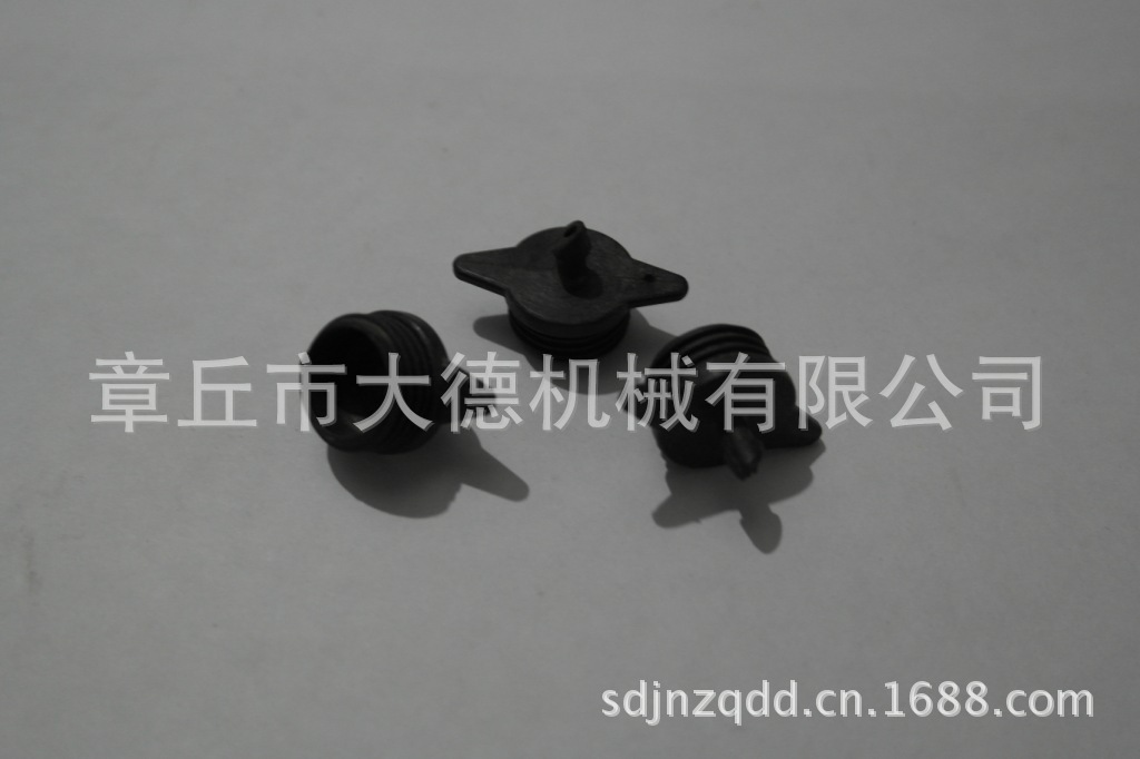 SAM_6489