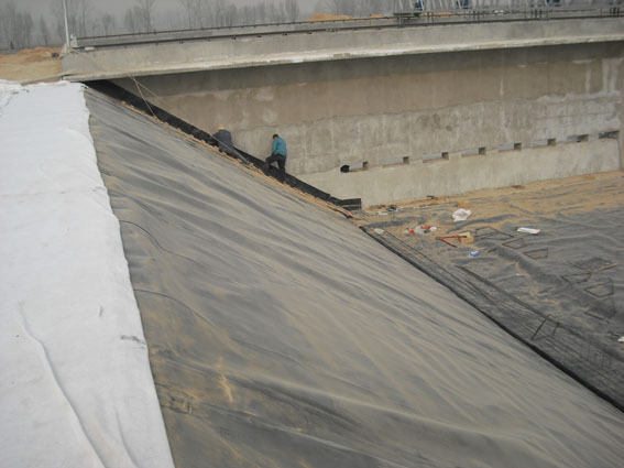 化学池 污水池防渗土工膜