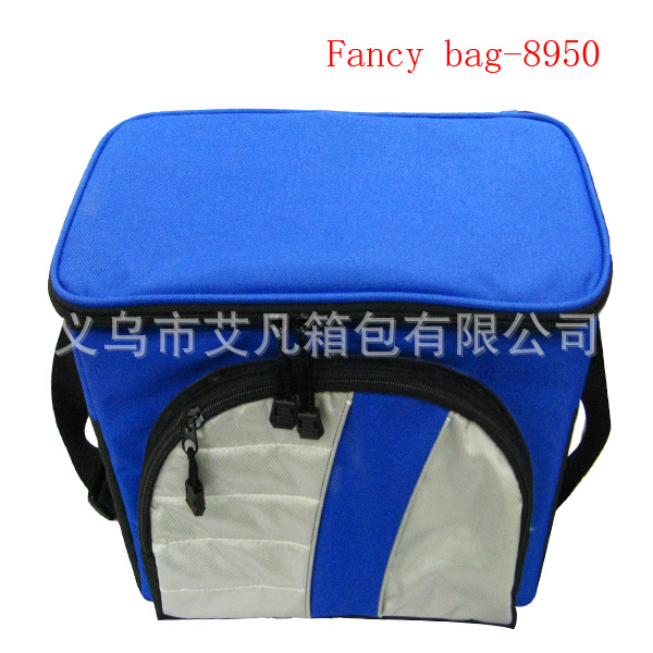 Fancy bag-8950