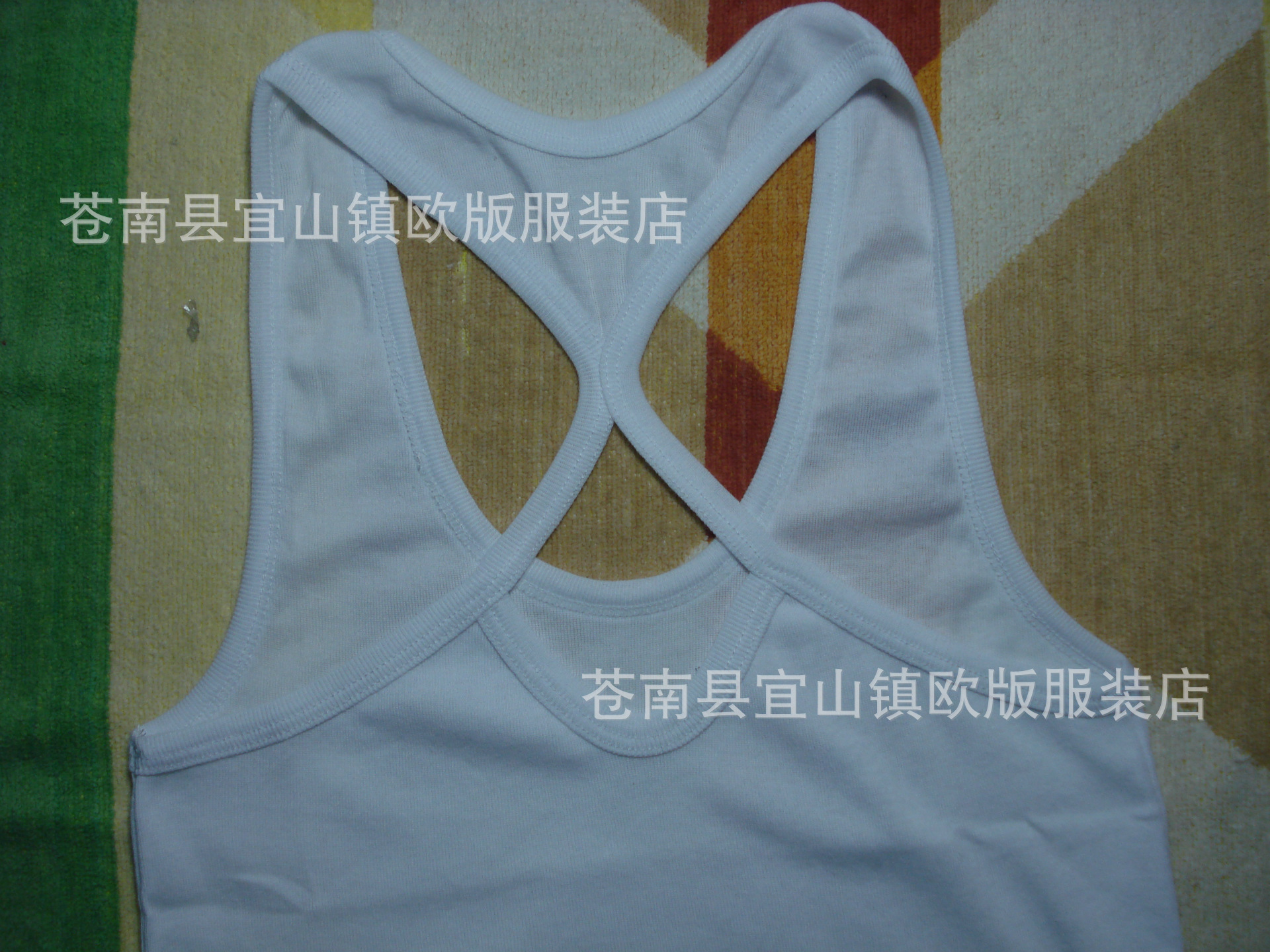 DSC01336