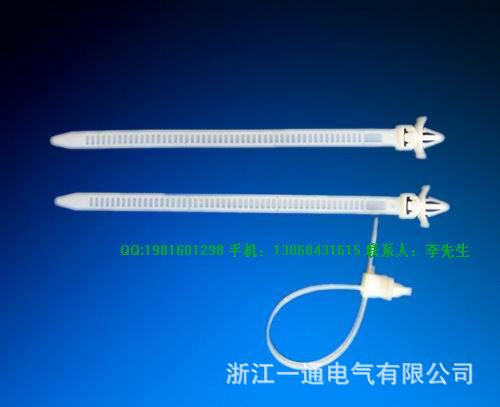 480436471_1259349817