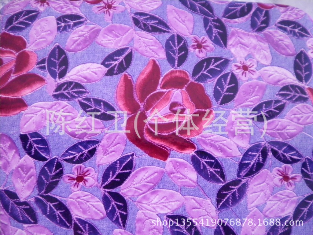 SANY0420