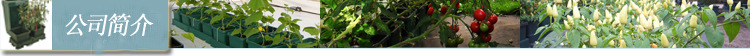 公司简介
