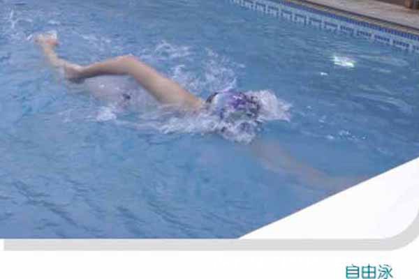 J机组03 一体化泳池