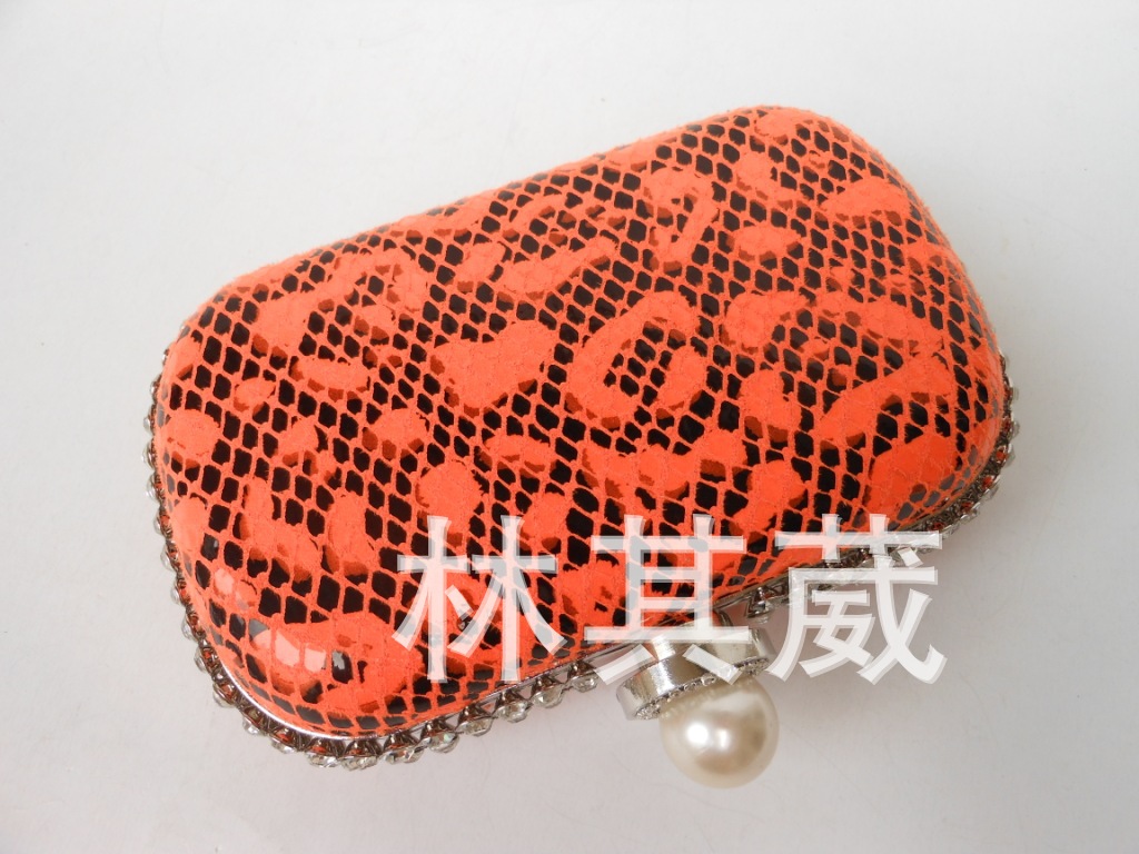 DSCN2634