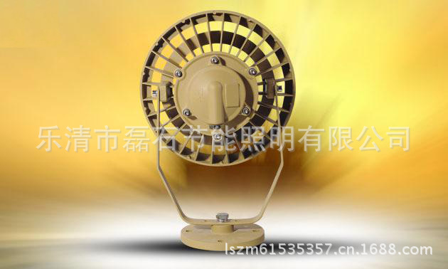 LSG95-70W (5)