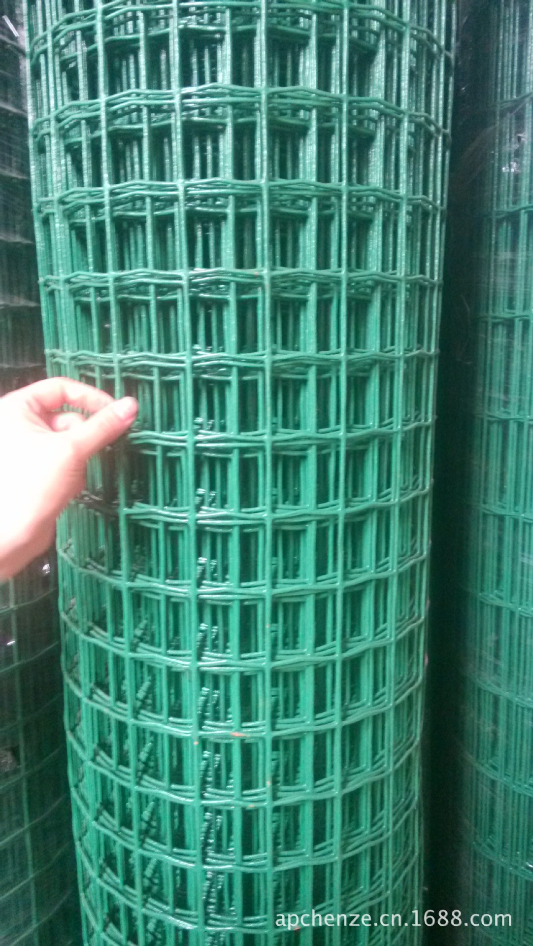 实拍工厂荷兰网图片