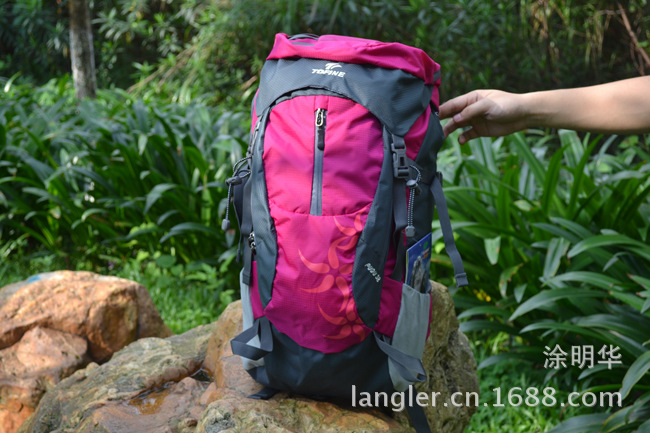 行李箱包-小额批发订做现货<em>女士登山包</em> 日背包