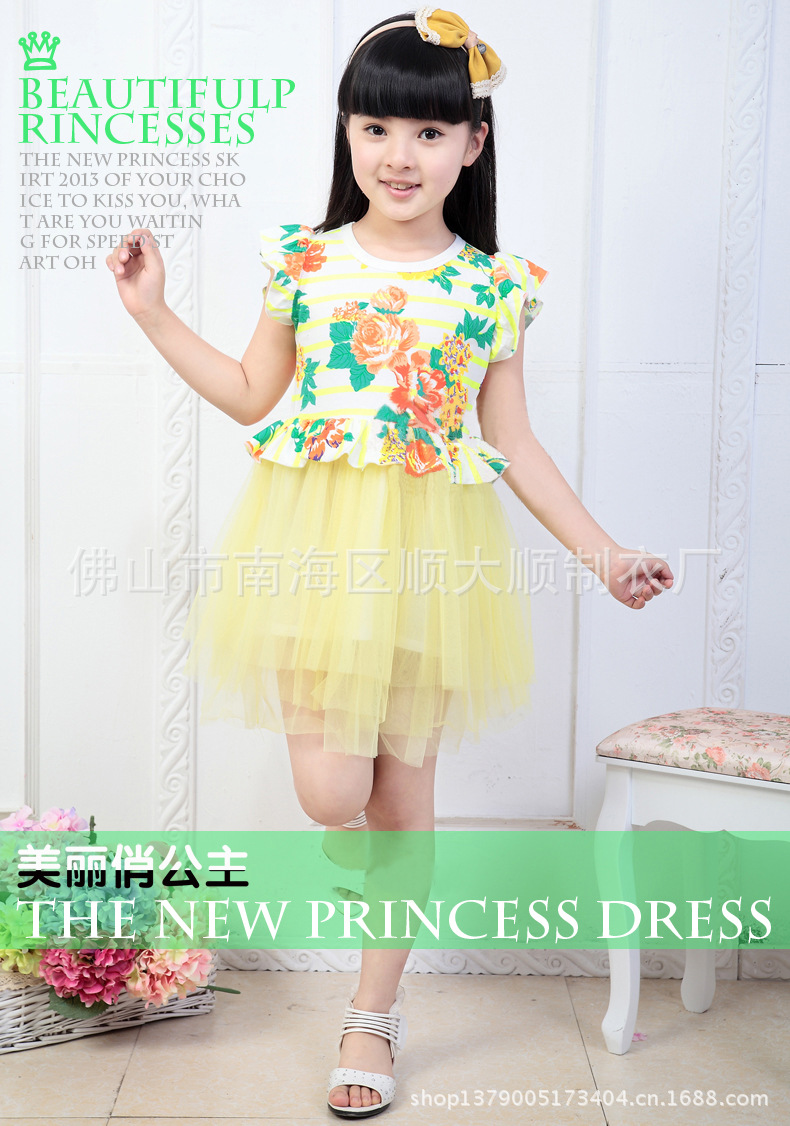 SDS2014SS002 (4)