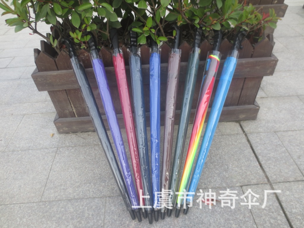 照片 057