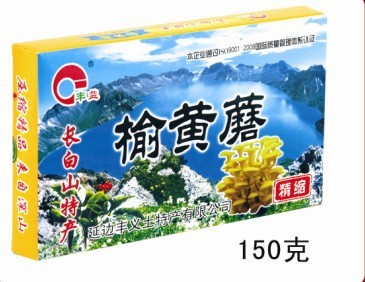 延边丰义,长白山特产,长白山榆黄蘑,纯野生绿色食品,人工采摘