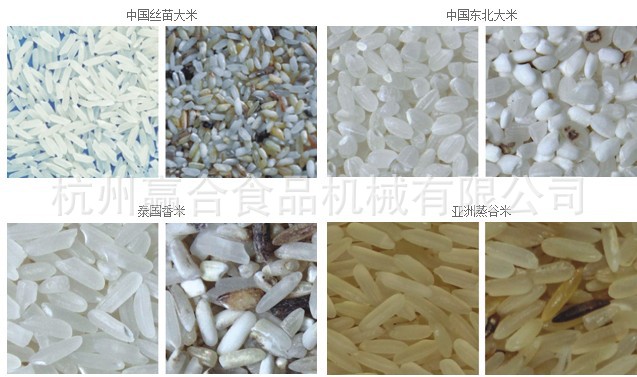 黄大米色选机图片,黄大米色选机图片大全,杭州杭盛