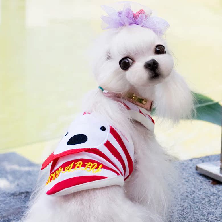 寵物服裝泰迪狗衣服 艾比新款可愛刺繡兔兔背心服飾 寵物用品工廠,批發,進口,代購
