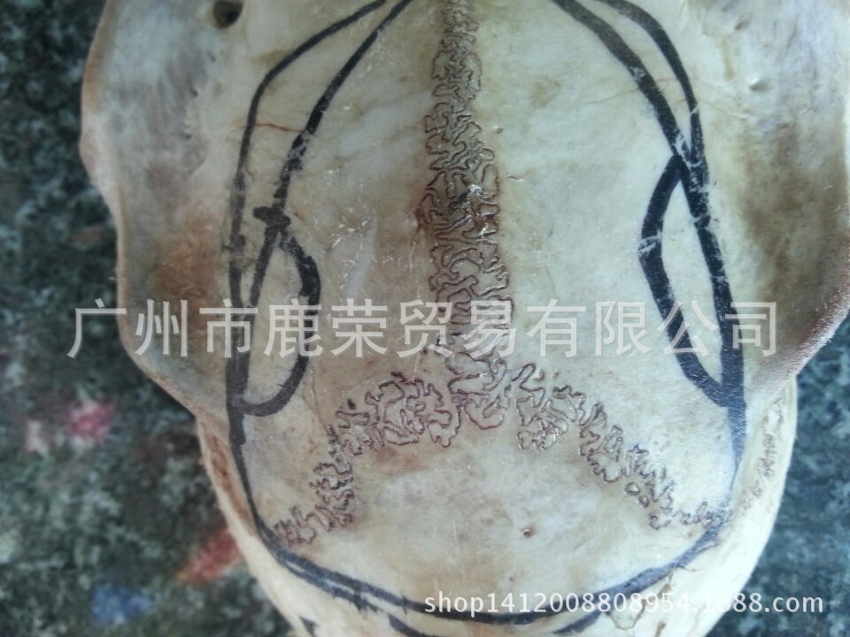 QQ图片20141110143814