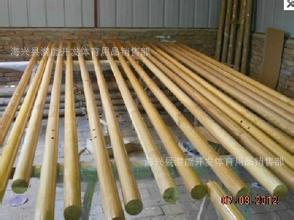 u=3954589440,3737524285&fm=15&