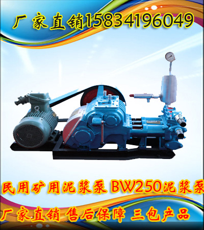 BW250泥浆泵（新新）
