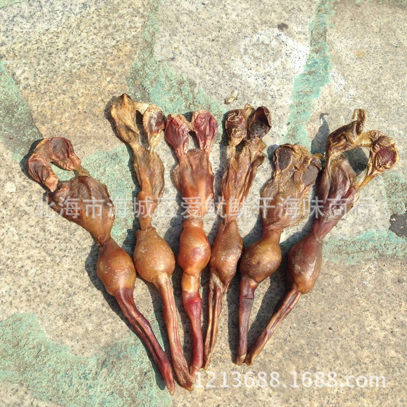 动物原药材-批发海狗鞭 北海泡酒海宝海狗鞭干