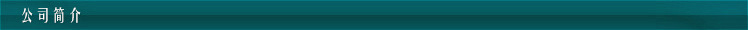 公司简介