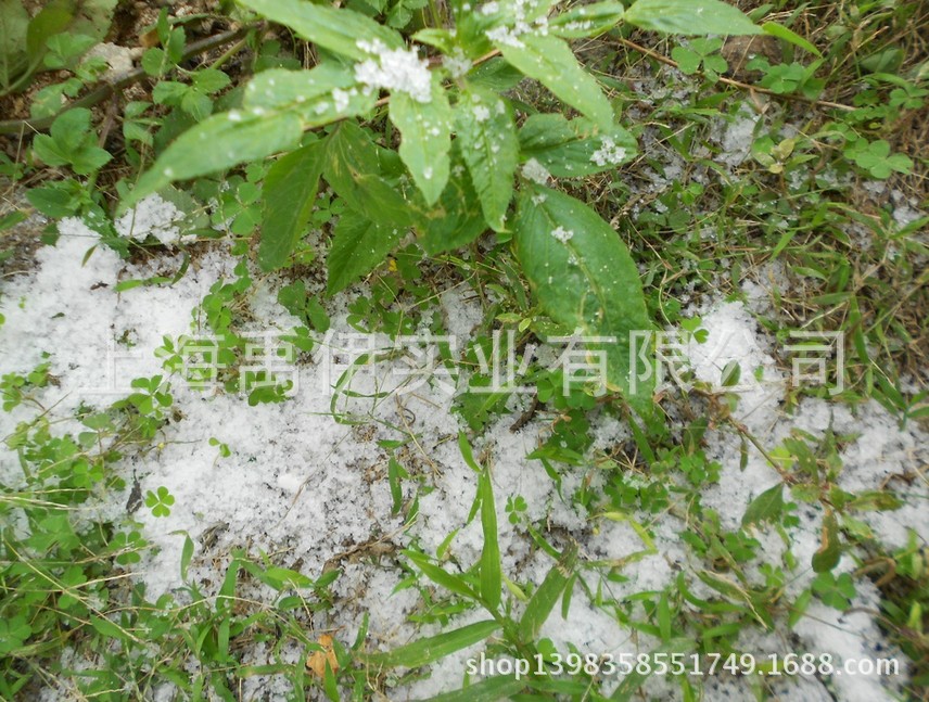 雪15