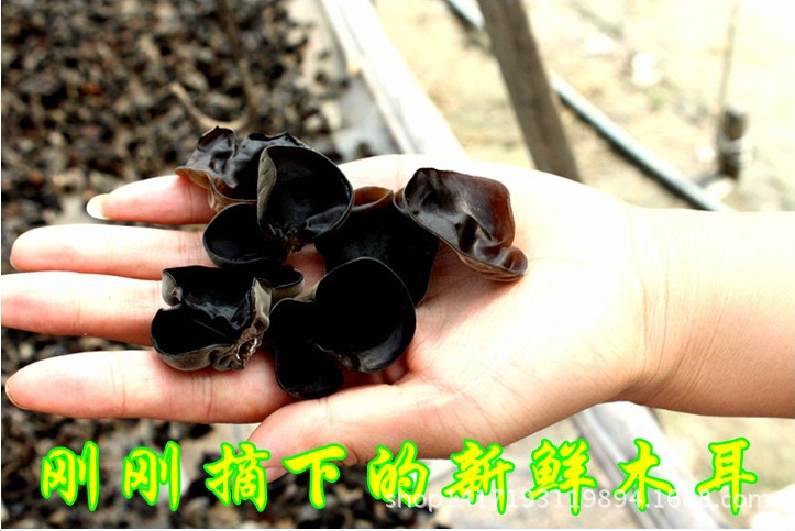 QQ截图20141203090107