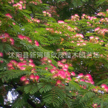 婆媳<em>母女</em>合欢同夫<em>小说</em>【新H站→www.8kans.c