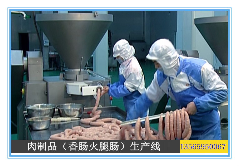 麻辣香肠设备