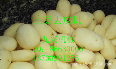 土豆1_副本