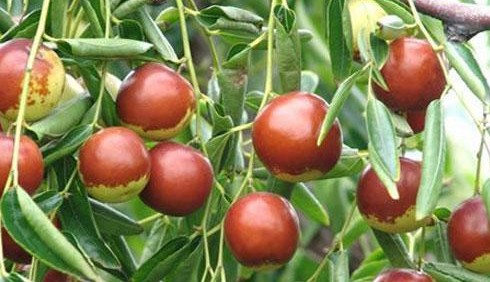 QQ截图20140108163933