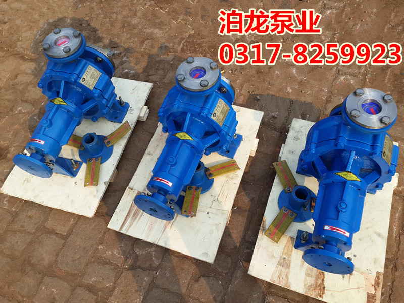 导热油泵 (2)_副本