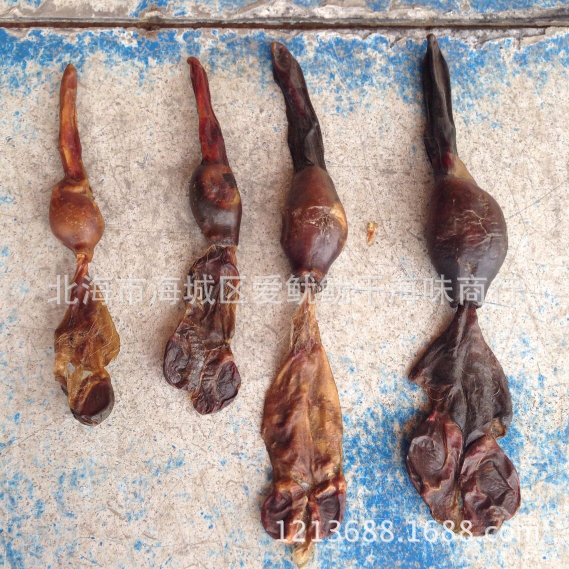 动物原药材-批发海狗鞭 北海泡酒海宝海狗鞭干