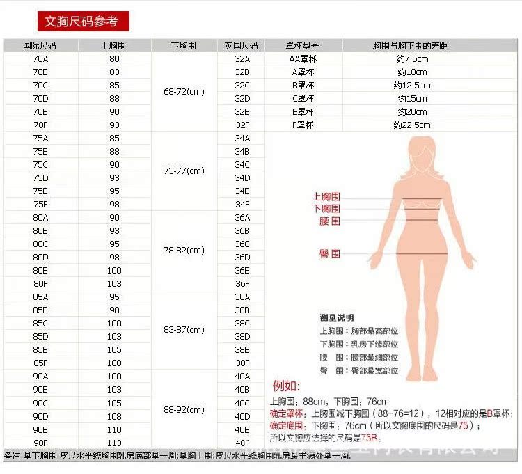 安提尼亞長胸罩