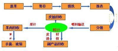 50ml混合果汁饮料加工|混合苦瓜蜂蜜饮料OEM加工