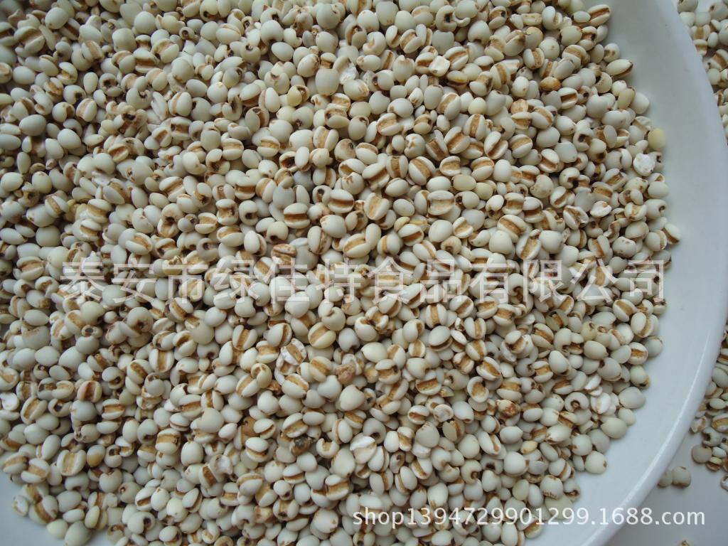 熟薏米 苡米薏 仁米薏米 仁低温烘培五谷原料磨豆浆原料小薏米