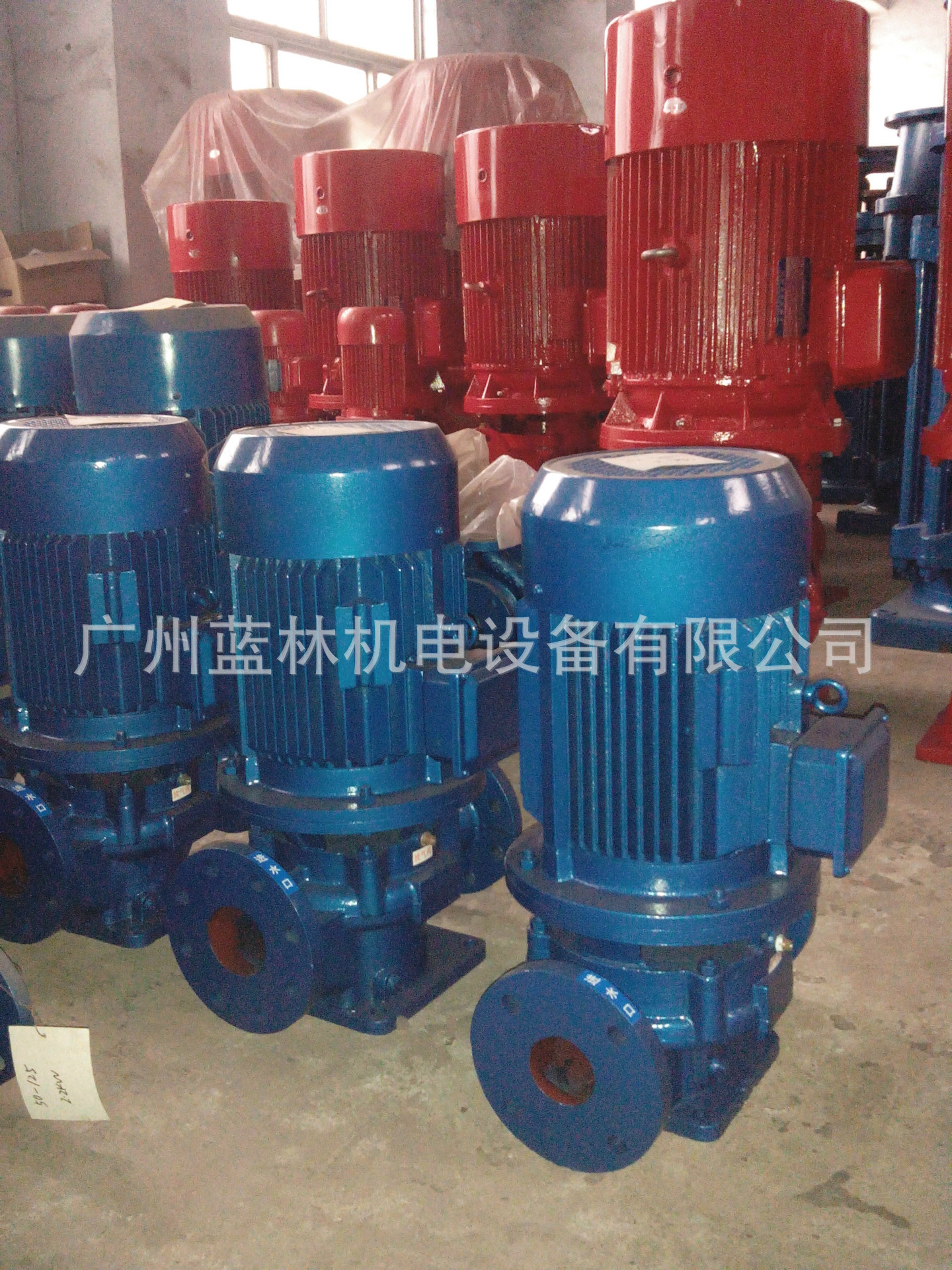 1134131121_2005156286