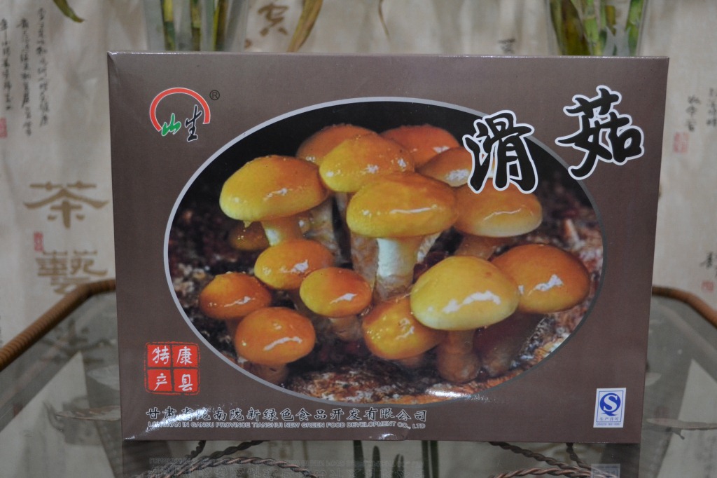 滑菇