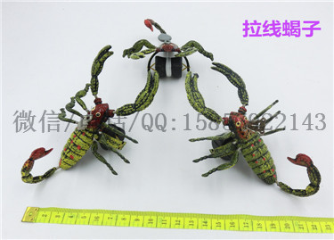 CIMG2617