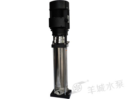 QDLF 主网站图片