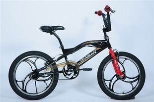 自行车-20寸、22寸、24寸铝轮表演一体轮炎山