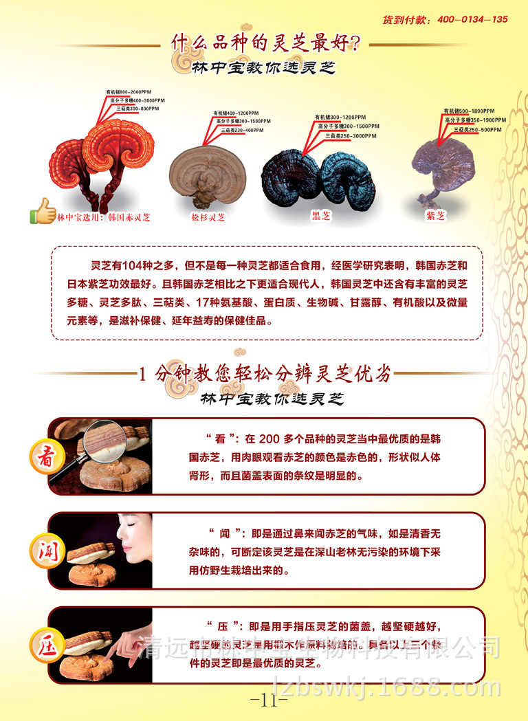 食用菌有限公司是一家集经销批发,招商代理的私营有限责任公司,灵芝